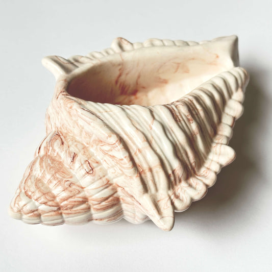 schmuskschale-muschel-gross-terrakotta